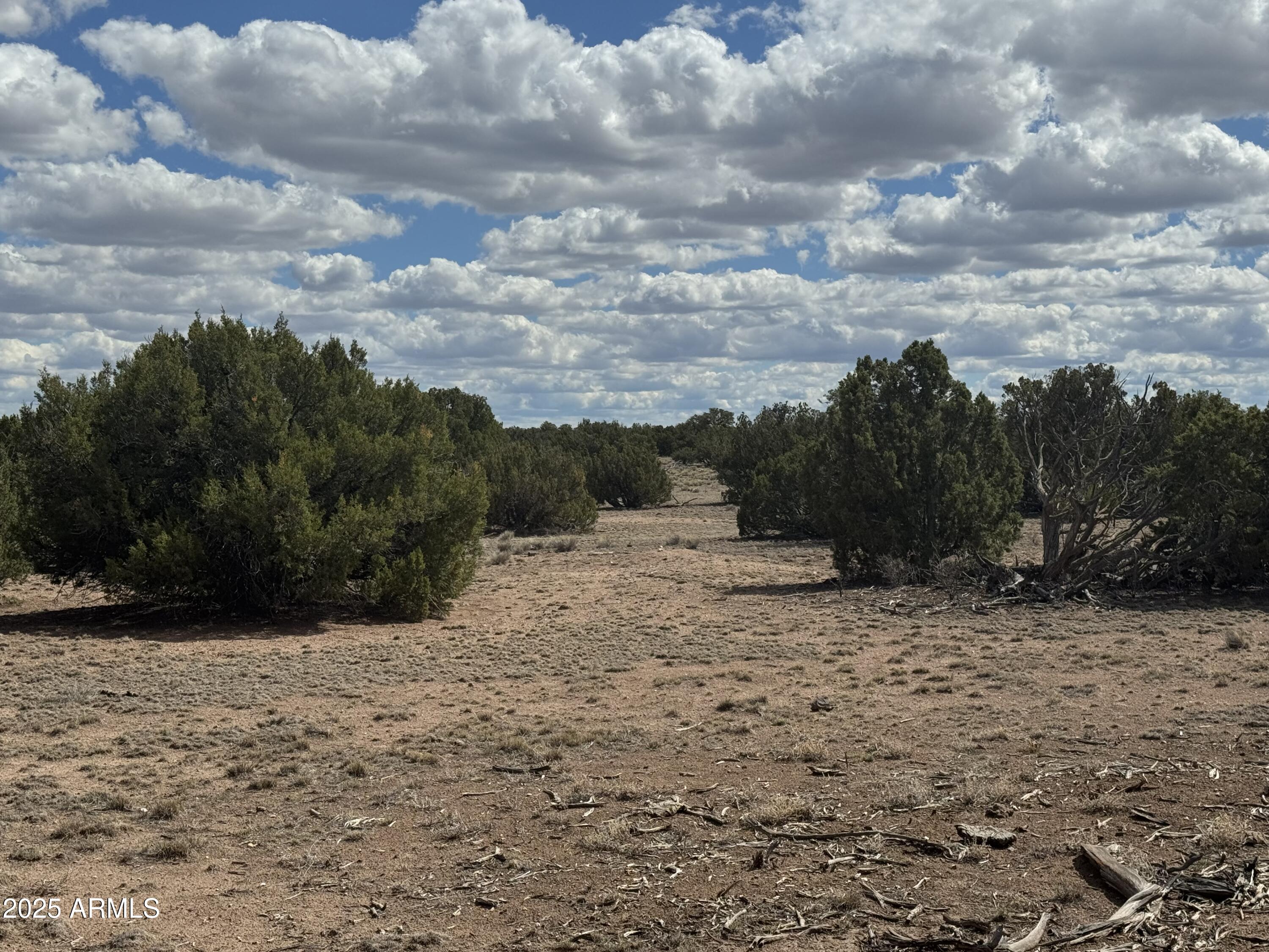 Lot 131 Elk Valley Ranch -- 131