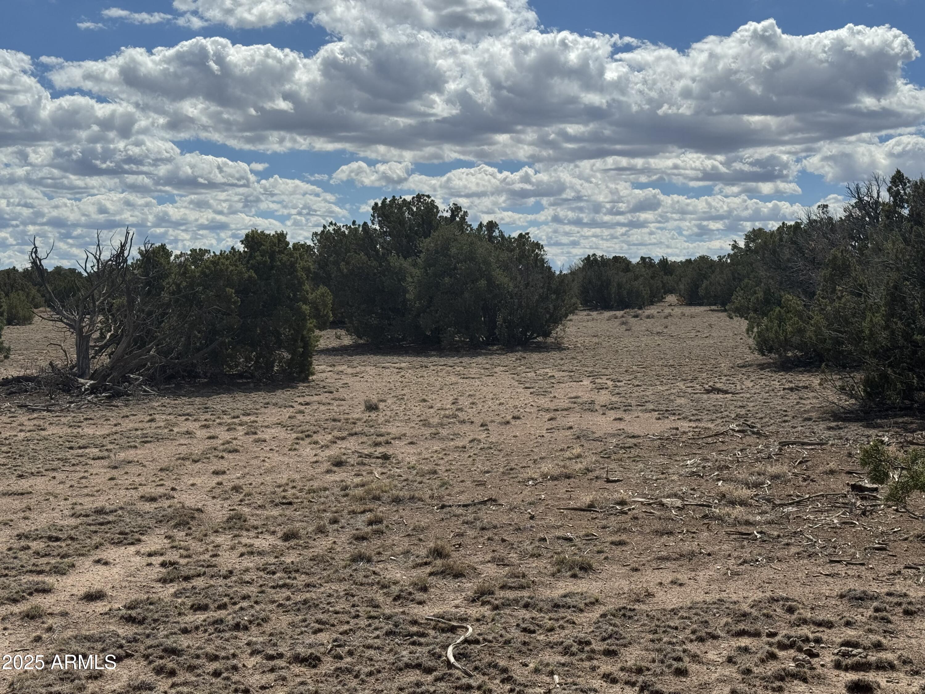 Lot 131 Elk Valley Ranch -- 131