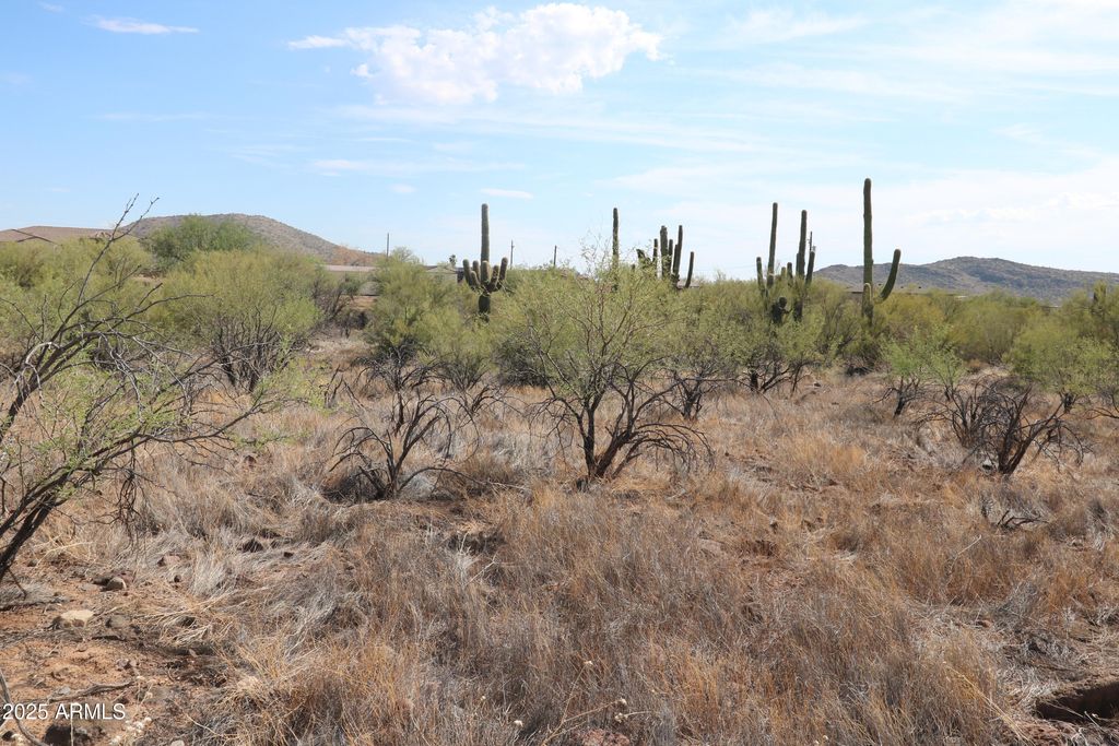 Photo of 43000 N 20th Street #0, New River, AZ 85087 (MLS # 6903589)