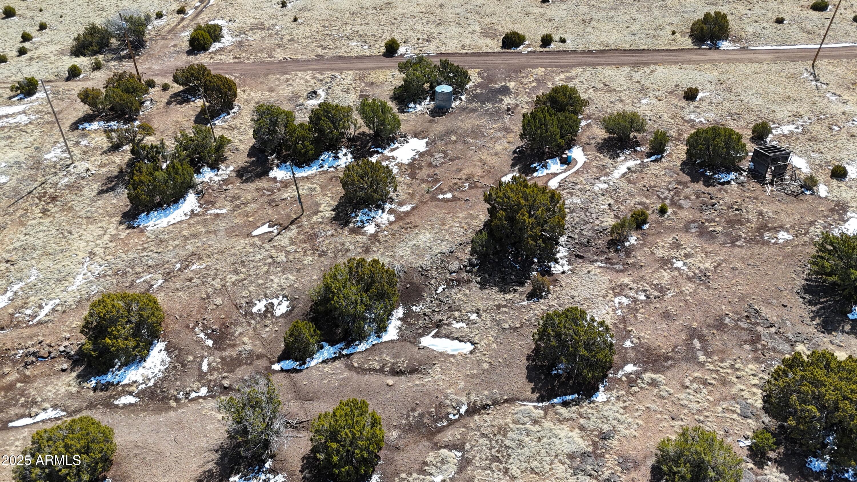 41 Antelope Avenue 464