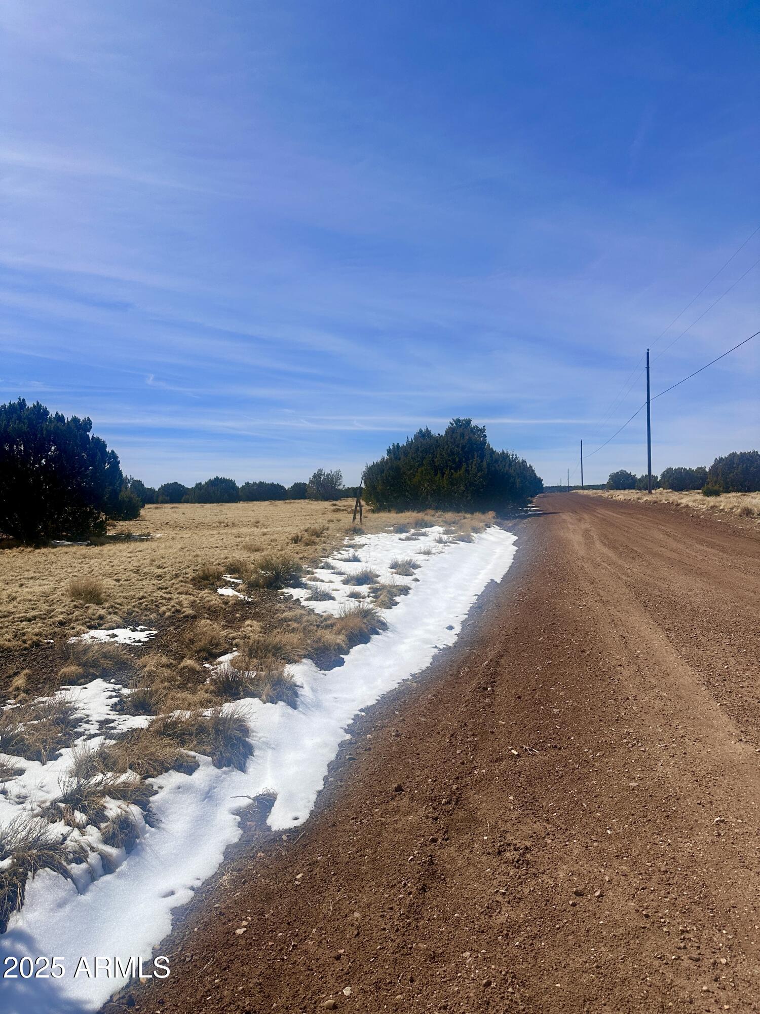 41 Antelope Avenue 464