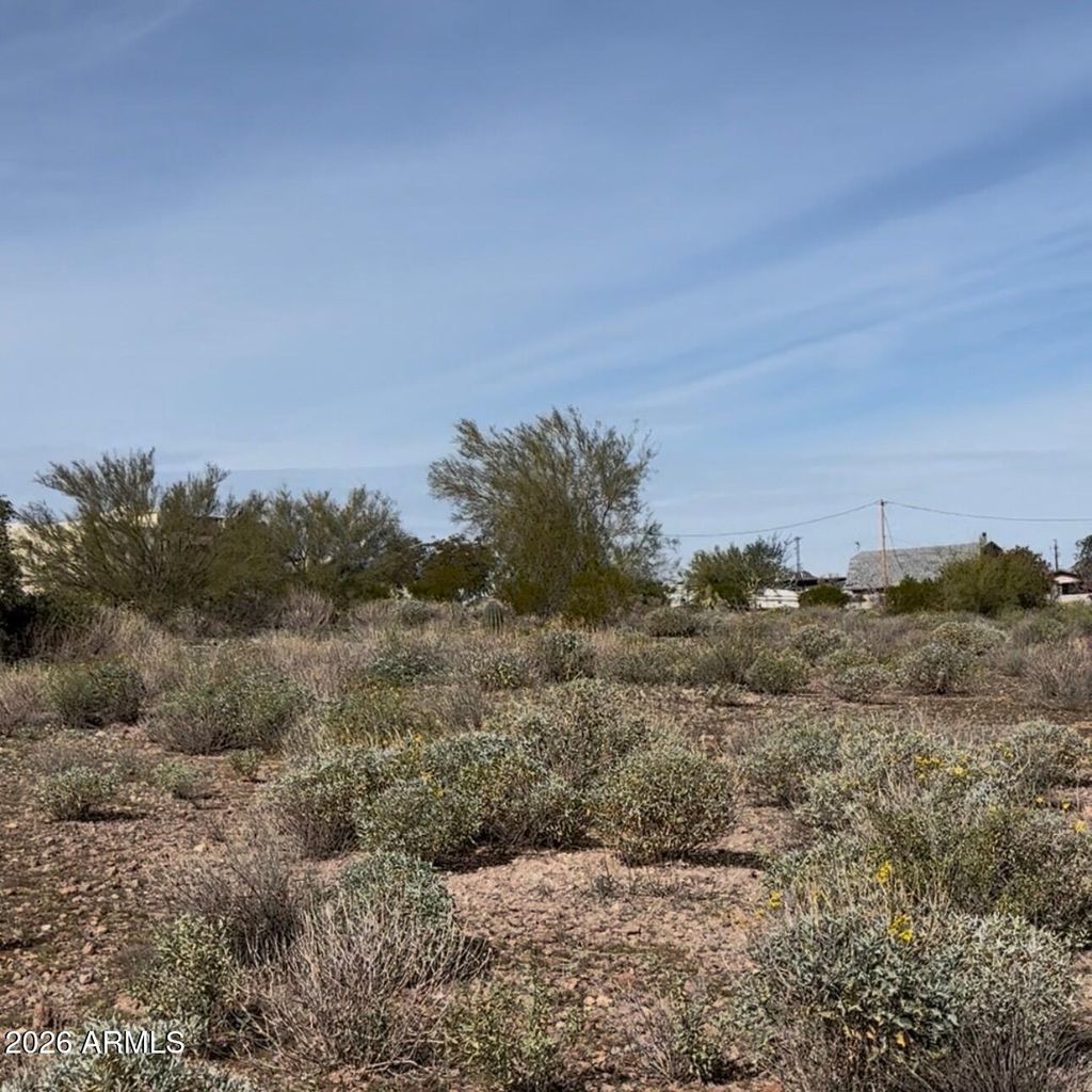 Photo of 0000 S Roadrunner Road #1, Apache Junction, AZ 85119 (MLS # 6975115)