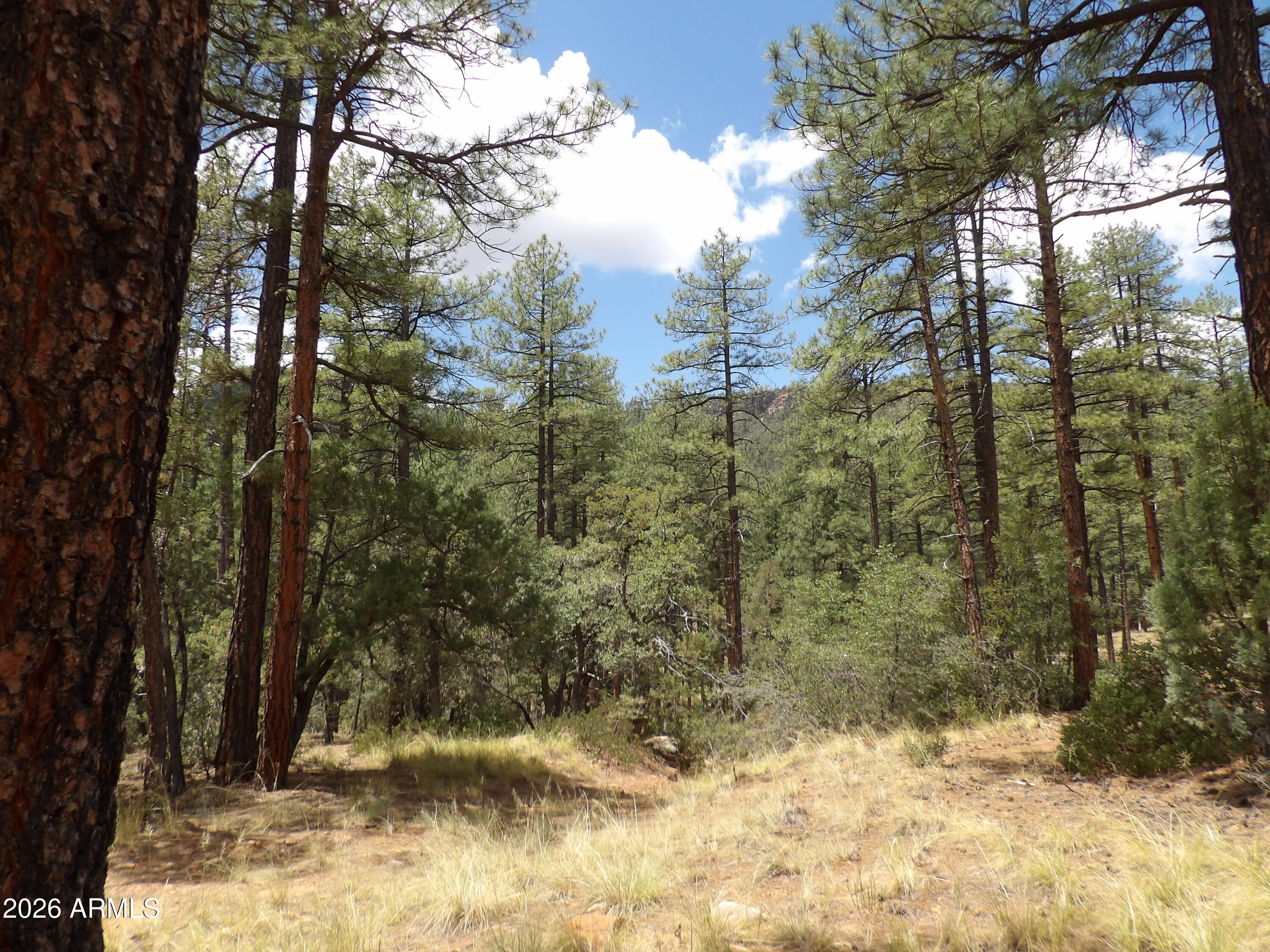 018E &014U Pine Hollow Trail 018E & 014U