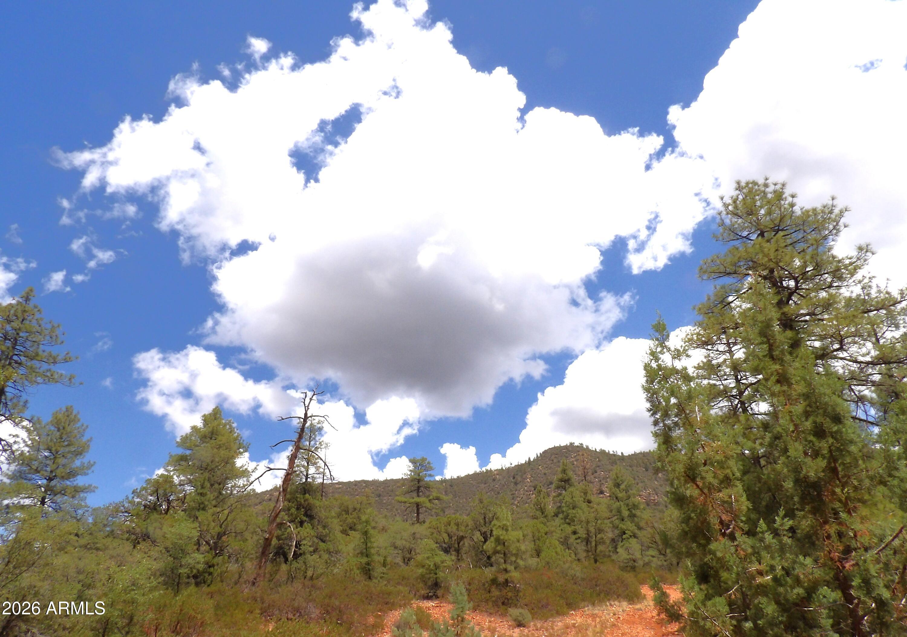 018E &014U Pine Hollow Trail 018E & 014U