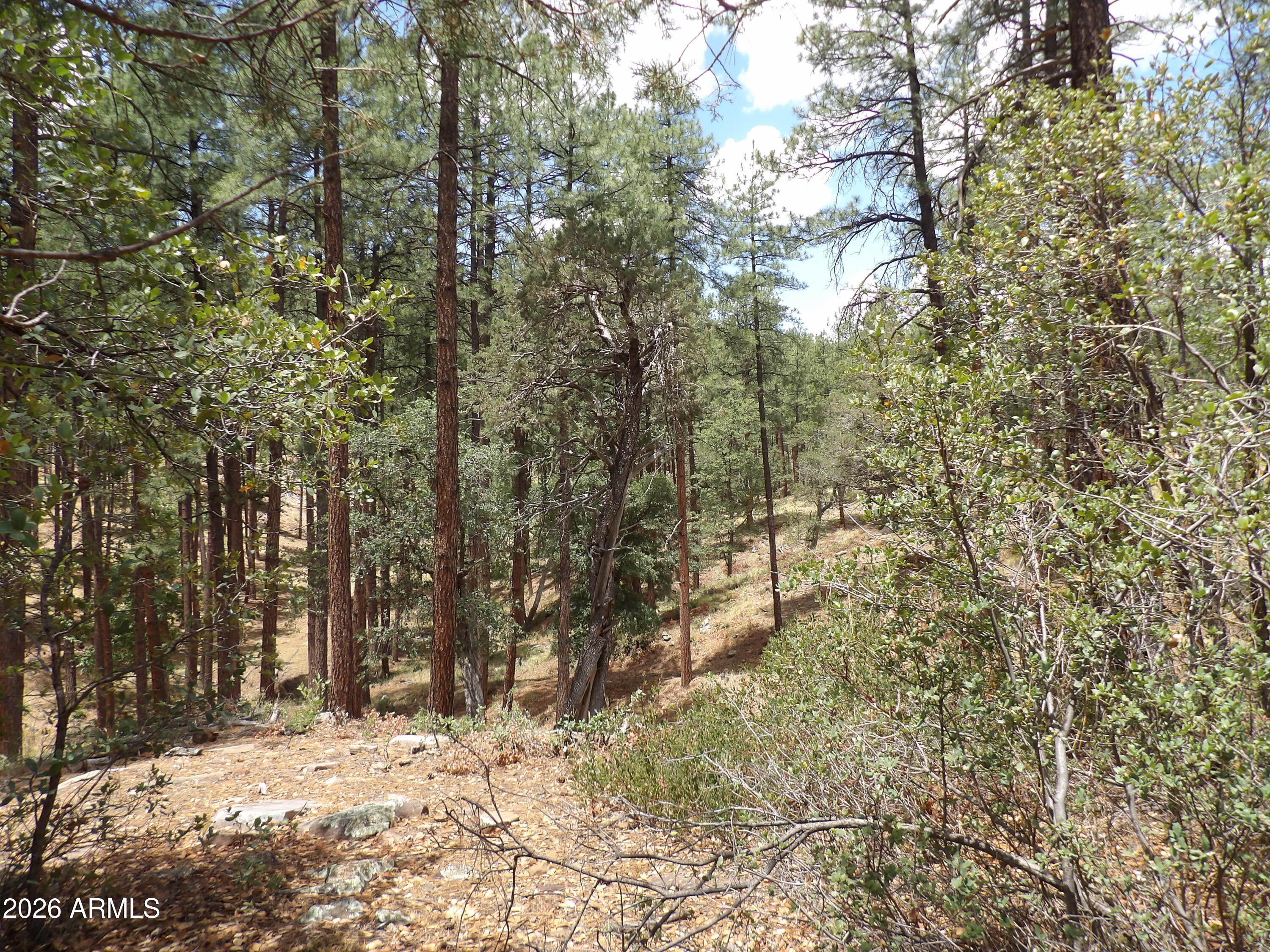 018E &014U Pine Hollow Trail 018E & 014U