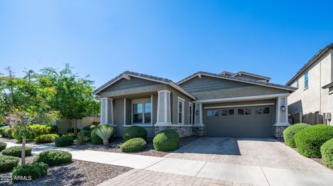 9936 E REVOLUTION Drive Mesa AZ 85212