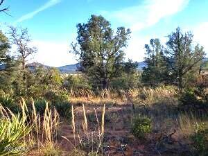 4R-4 N Ike Clark Parkway 4