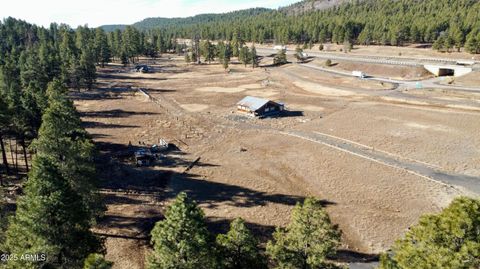 12405 Forest Service 772 -- - Flagstaff AZ 86001