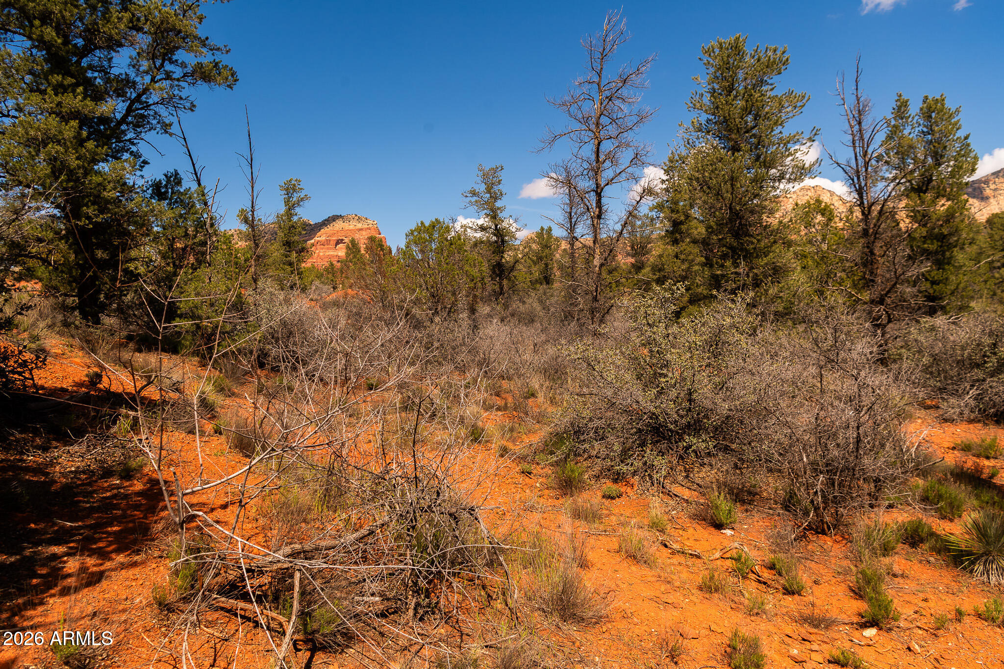 PINON VALLEY ESTATES - Land