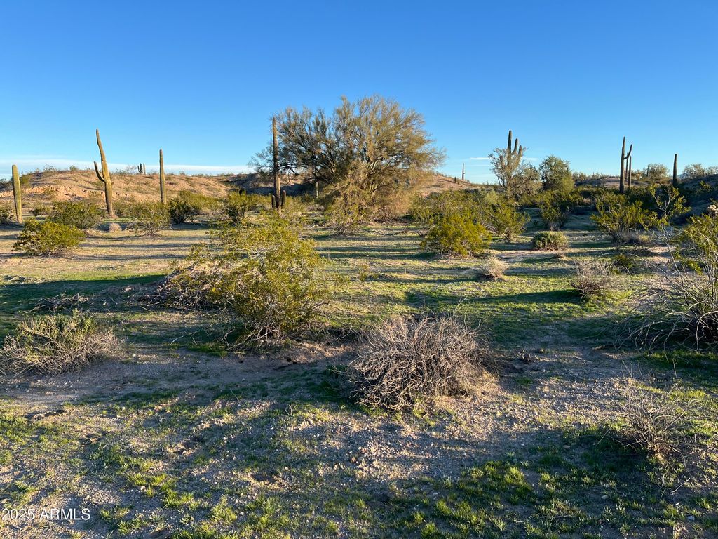 Photo of 3705 N 327th Drive #-, Tonopah, AZ 85354 (MLS # 6955073)