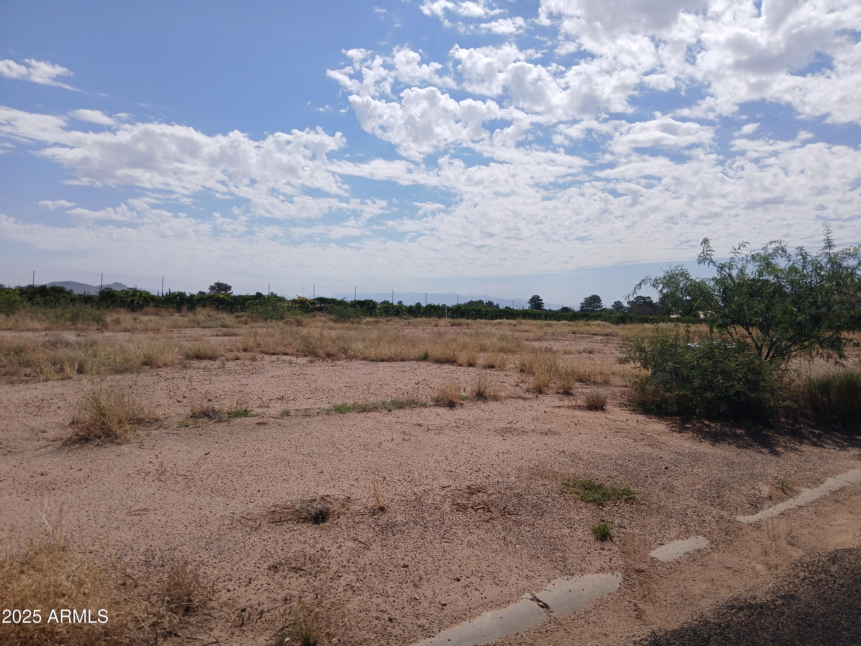 TBD N Cholla Drive 93