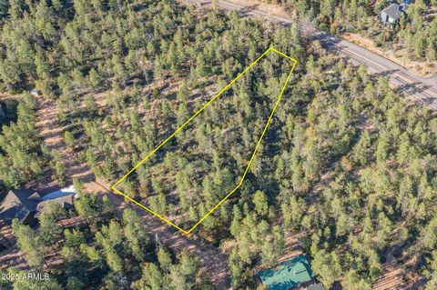 0 N Pine Hollow Trail - Pine AZ 85544