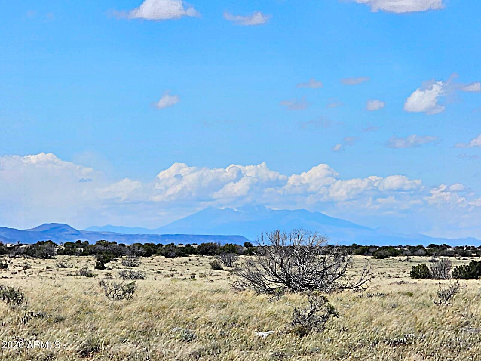 CHEVELON CANYON RANCH UNIT 3 - Land