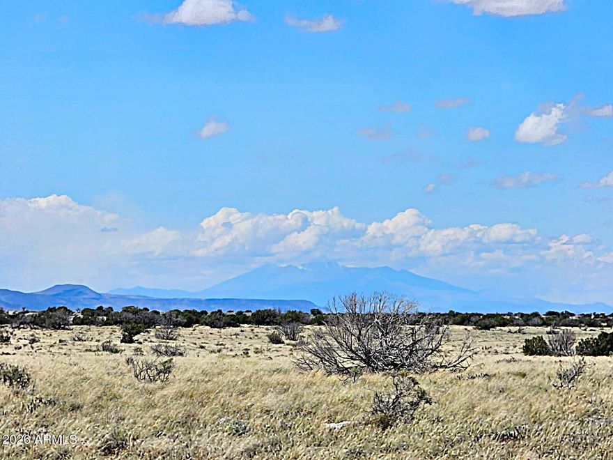 Magnificent Views!  Peaceful!  Easy to access!  This 36.36 acre parcel is located in Chevelon Canyon Ranch Unit 3.  The HOA privately maintains the roads and provides free water access at Well #2 which is approximately 2 1/2 miles from the property.  The views are endless - Humphrey's Peak north of Flagstaff can easily by viewed with the naked eye from your property!  Site built homes, manufactured homes, guest homes, ranching, agricultural use, or just the simplicity of outdoor camping and recreation are some of the authorized uses of this property!