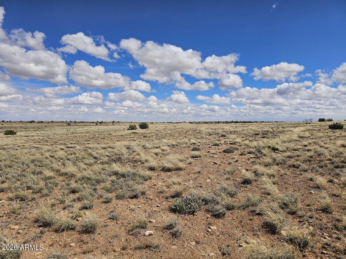 CHEVELON CANYON RANCH UNIT 3 - Land