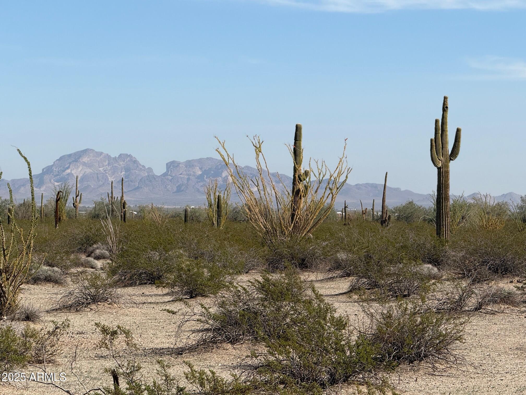 1275 N 557th Avenue 128