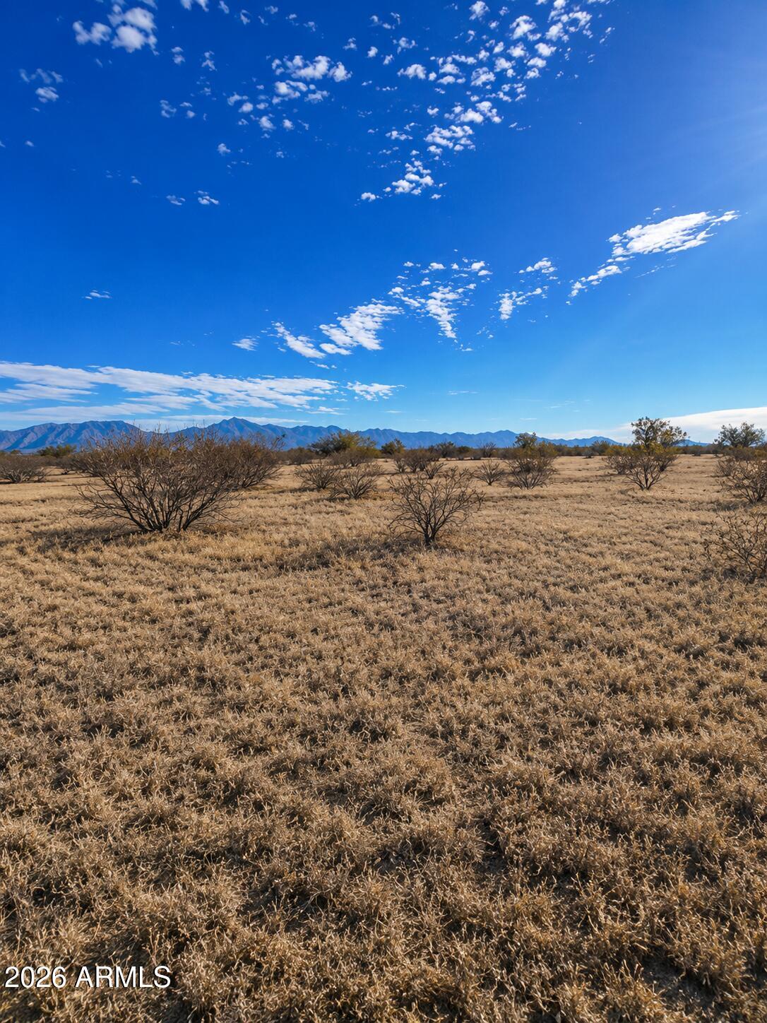 001 W Ocotillo Road 3