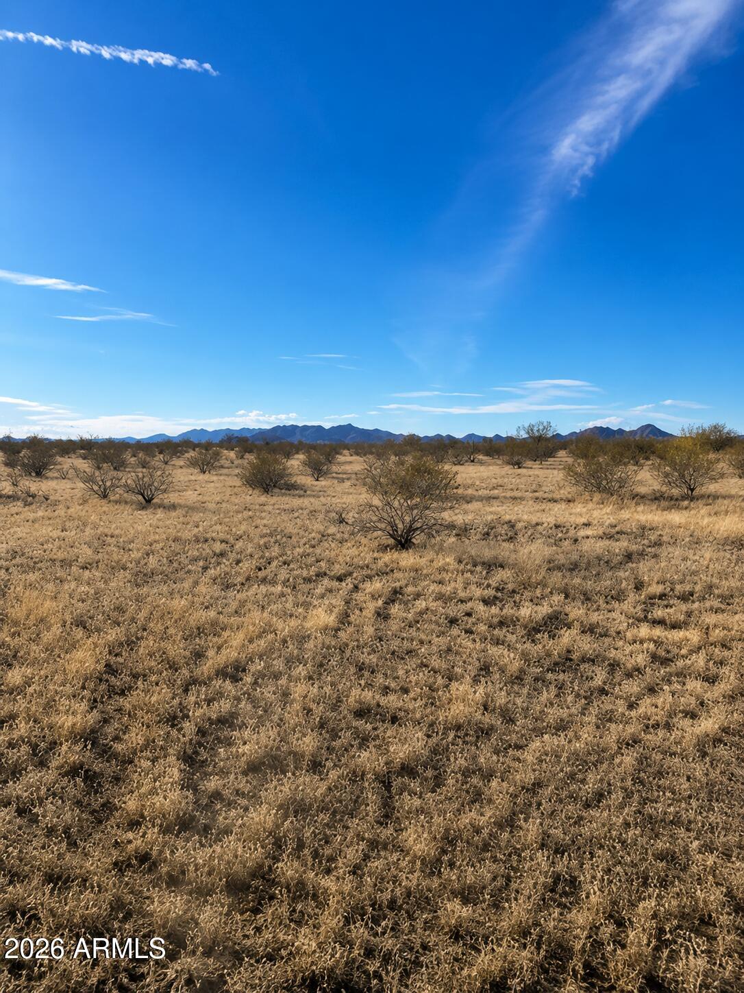 001 W Ocotillo Road 3