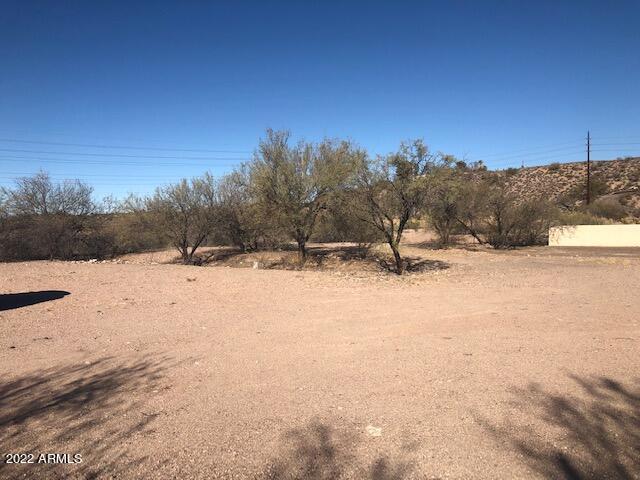00 Sunflower Avenue 2