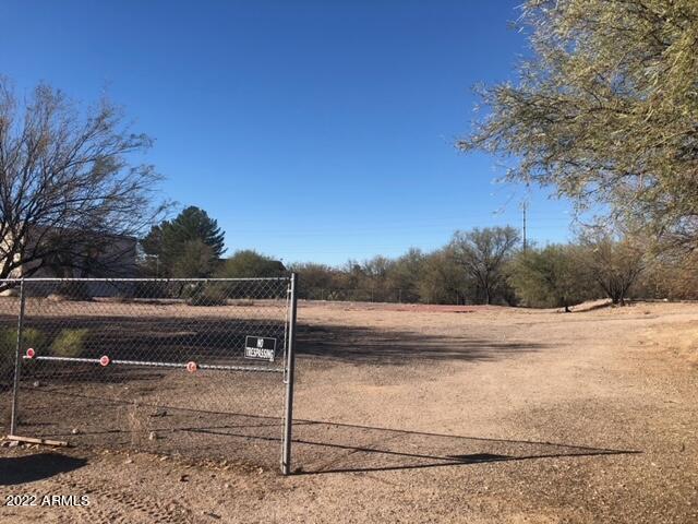 00 Sunflower Avenue 2