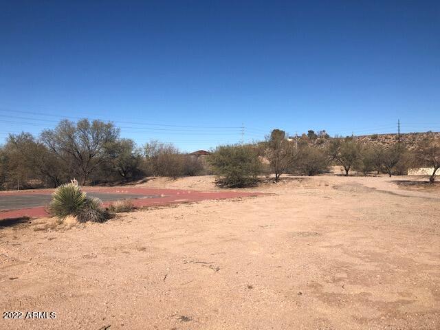 00 Sunflower Avenue 2