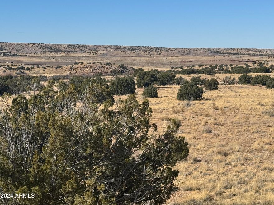 **Stunning 360° Views in St. Johns, AZ - Perfect for Your Dream Home or Ranch** This picturesque parcel offers breathtaking 360° views, including a stunning backdrop of the White Mountain Range, which will be blanketed in snow when other areas remain clear. The land gently slopes towards a high point, providing an ideal site for building with panoramic vistas in every direction. With an abundance of juniper trees and wide-open spaces, this property is just 5 miles from the charming, historic town of St. Johns, AZ. Known as the ''Town of Friendly Neighbors,'' St. Johns offers small-town conveniences including restaurants, grocery store, a post office, a movie theater, schools, and a feed store. Outdoor enthusiasts will appreciate the