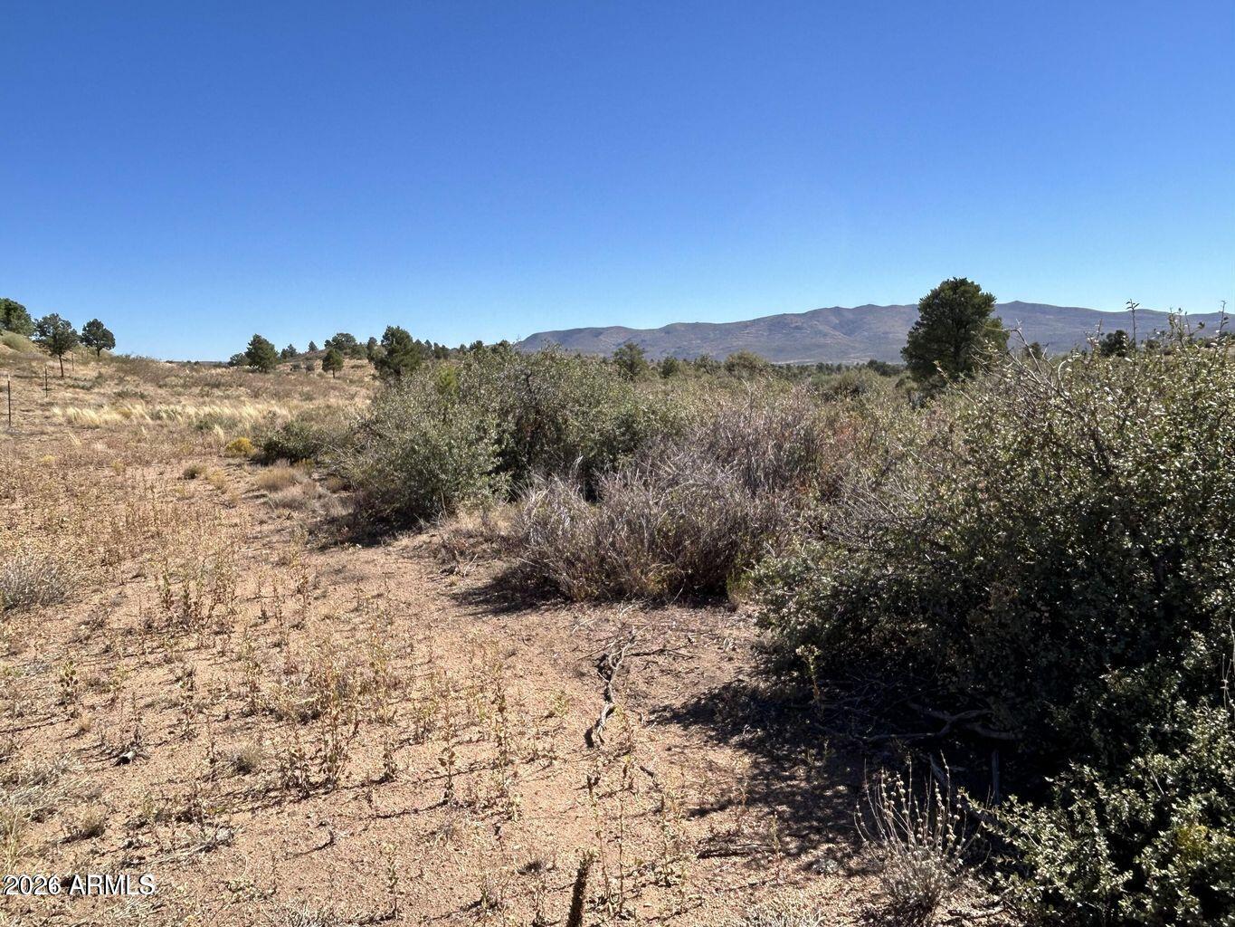 17424 S JUNIPER Drive 61