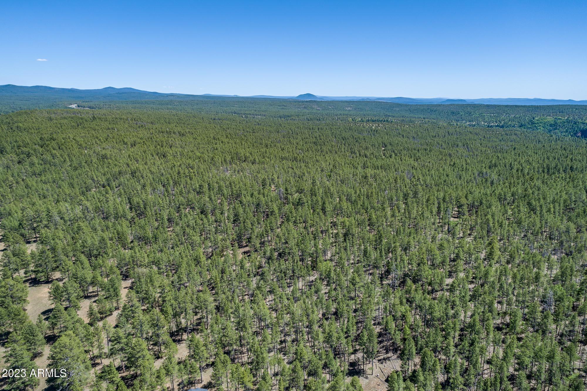 Foxboro Ranch Estates- Munds Park, AZ - Residential
