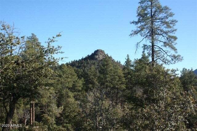 3103 S Monument Peak -- 168