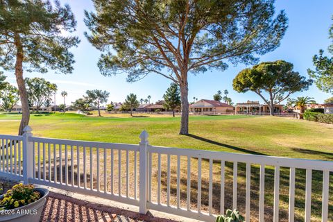 26406 S FLAME TREE Drive Sun Lakes AZ 85248