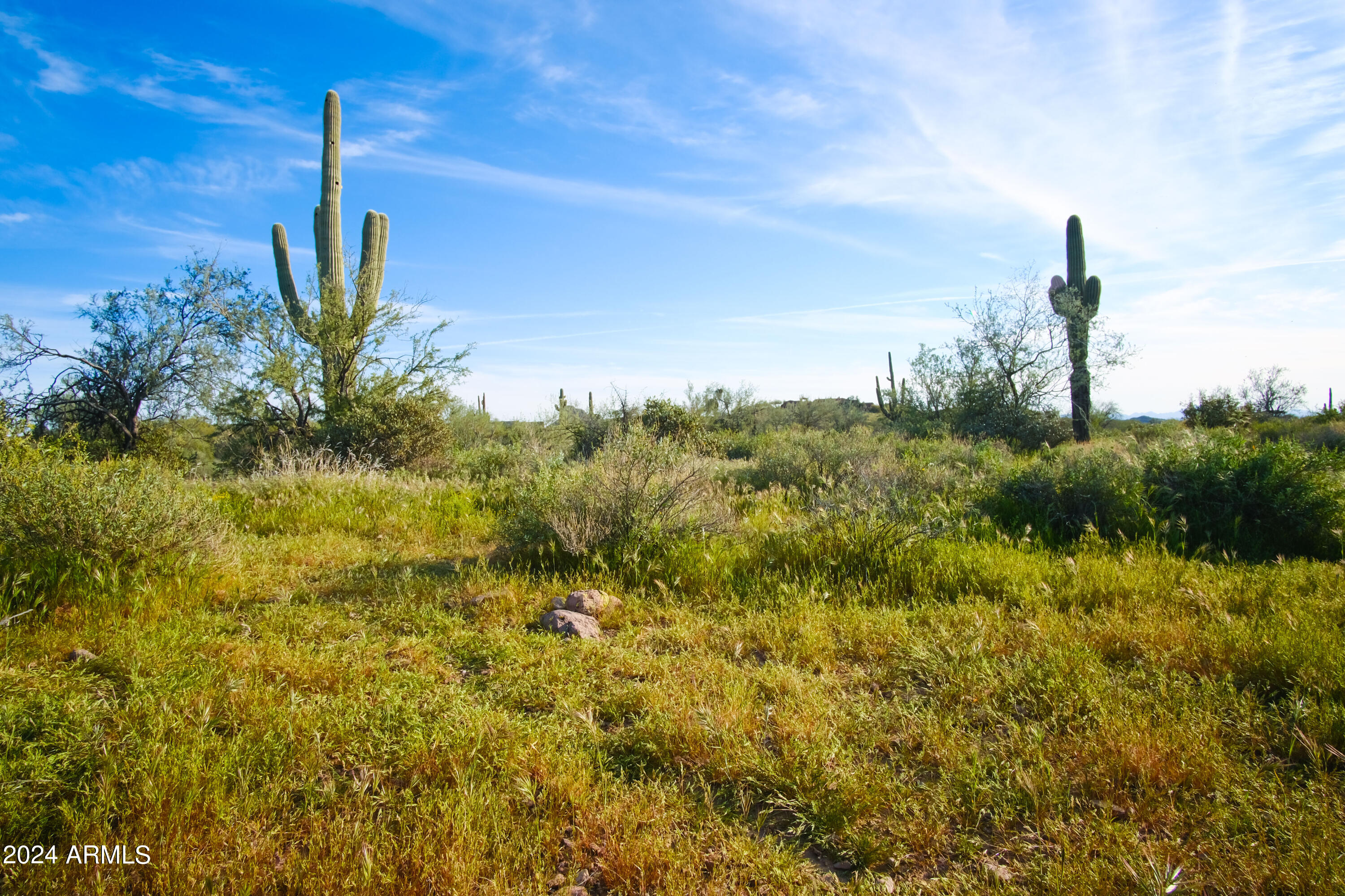 Homes for Sale in Queen Creek Arizona 1 Lot 2 E Cloudview Avenue 2