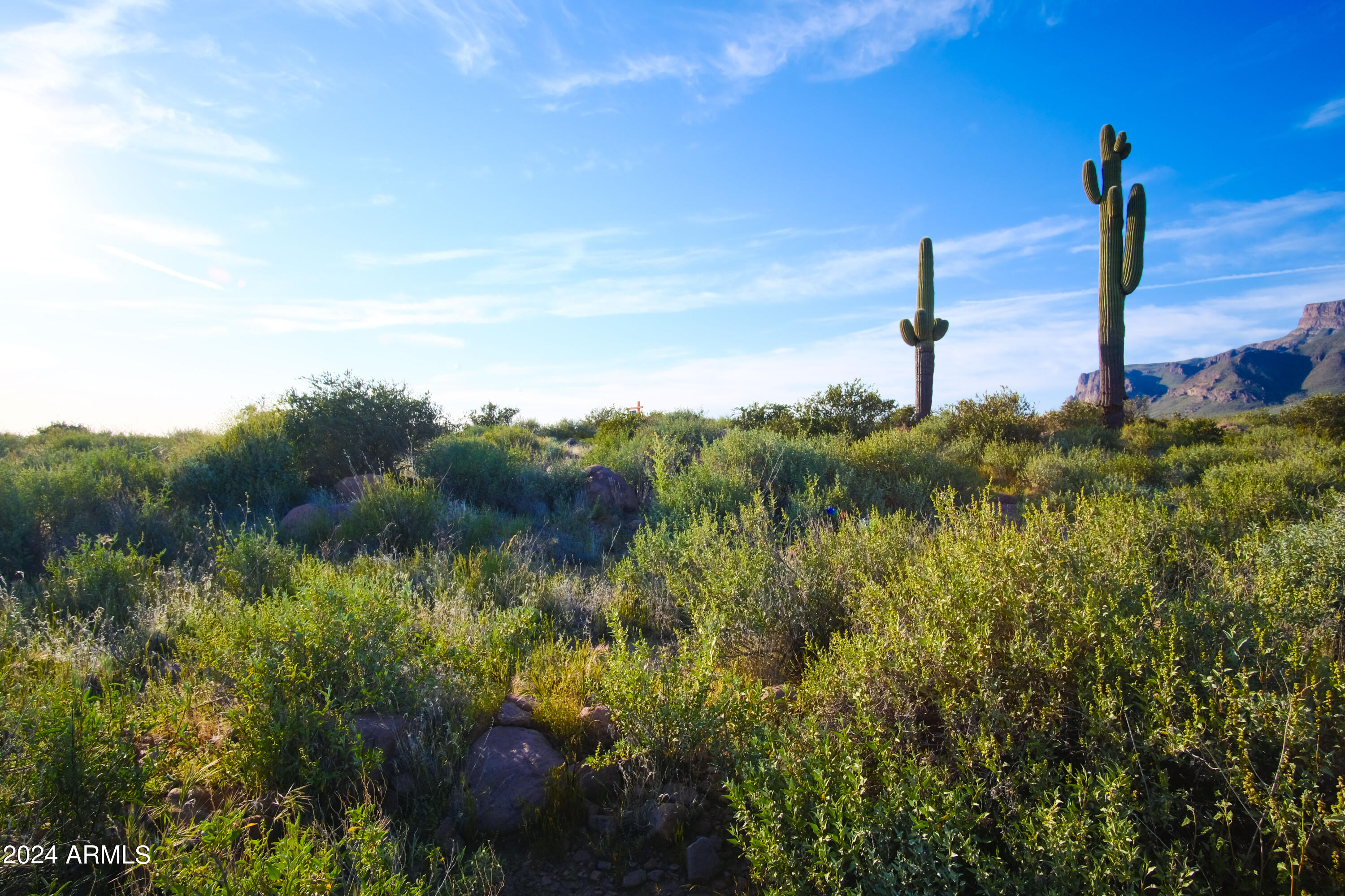 Homes for Sale in Queen Creek Arizona 3 Lot 2 E Cloudview Avenue 2