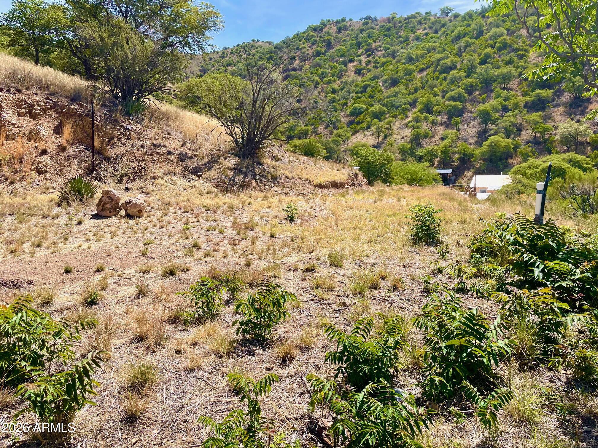 Old Bisbee - Land