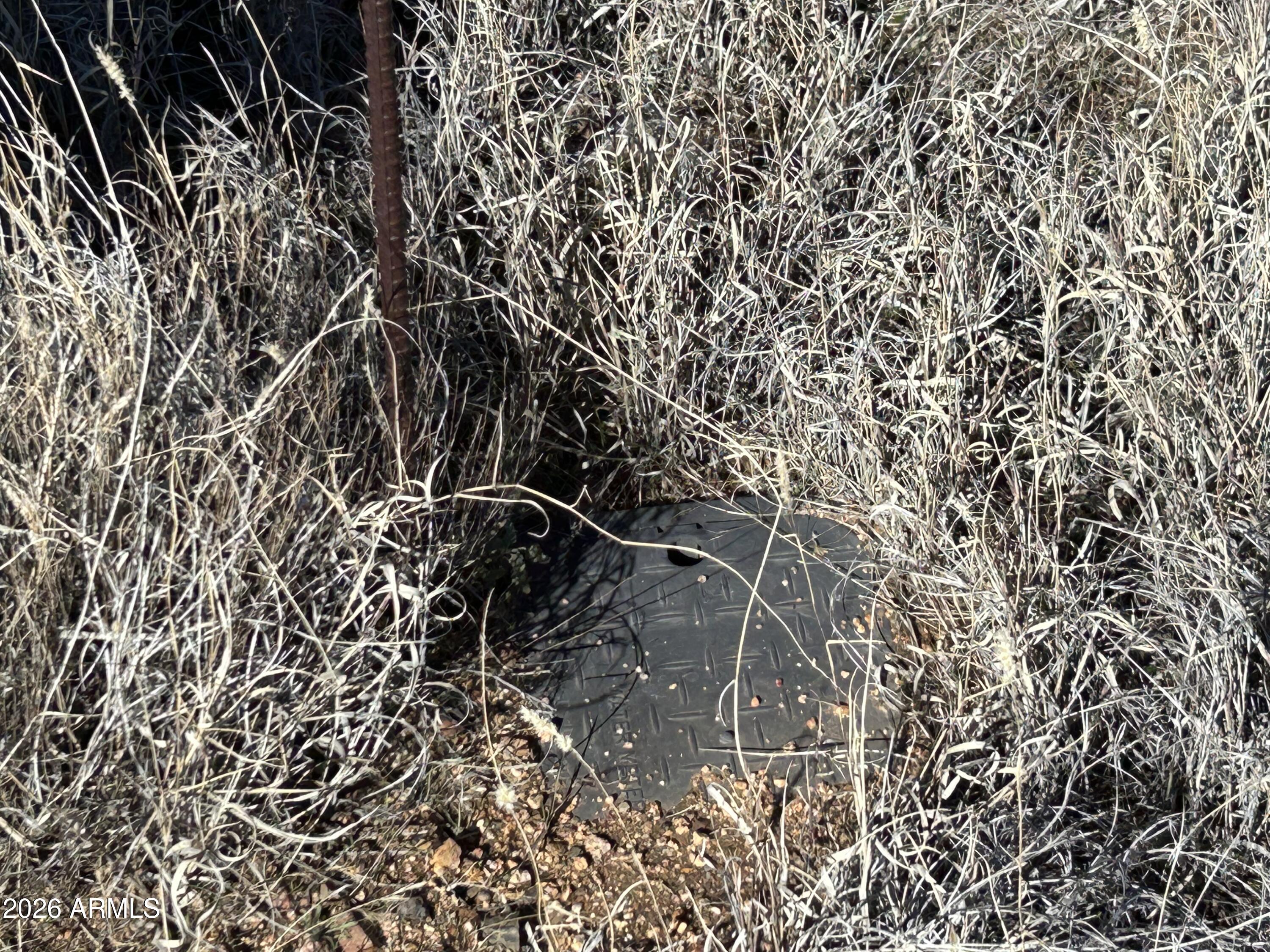 17327 S Rocky Boy Way 71