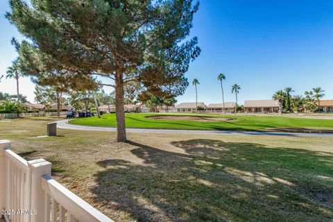 25236 S FLAME TREE Drive Sun Lakes AZ 85248