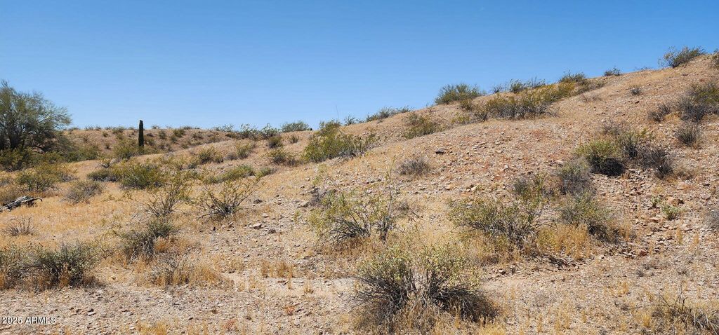 Photo of 333 W Glenrosa Avenue #Lot 5, Tonopah, AZ 85354 (MLS # 6892602)