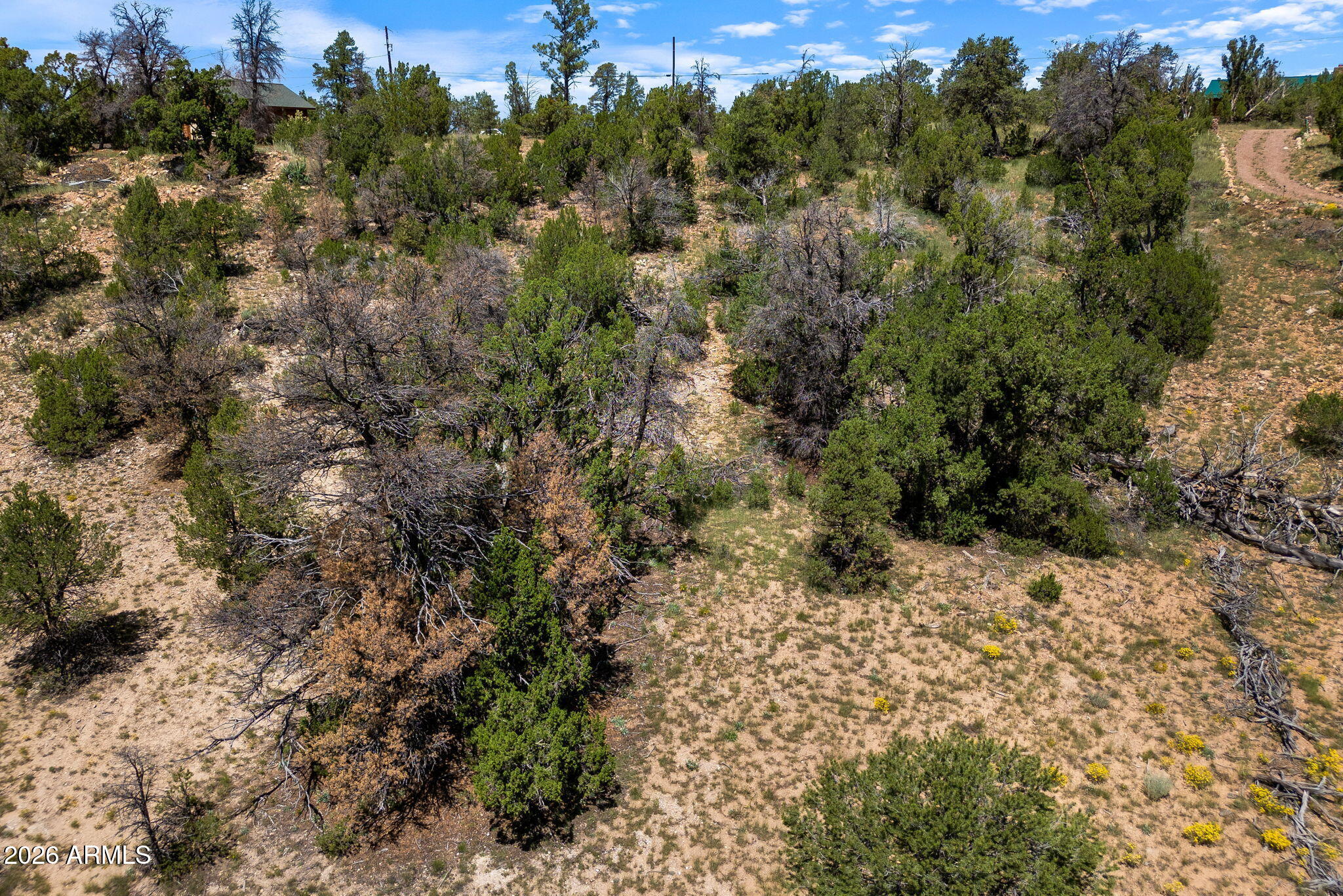 3620 ZANE GREY Trail 42