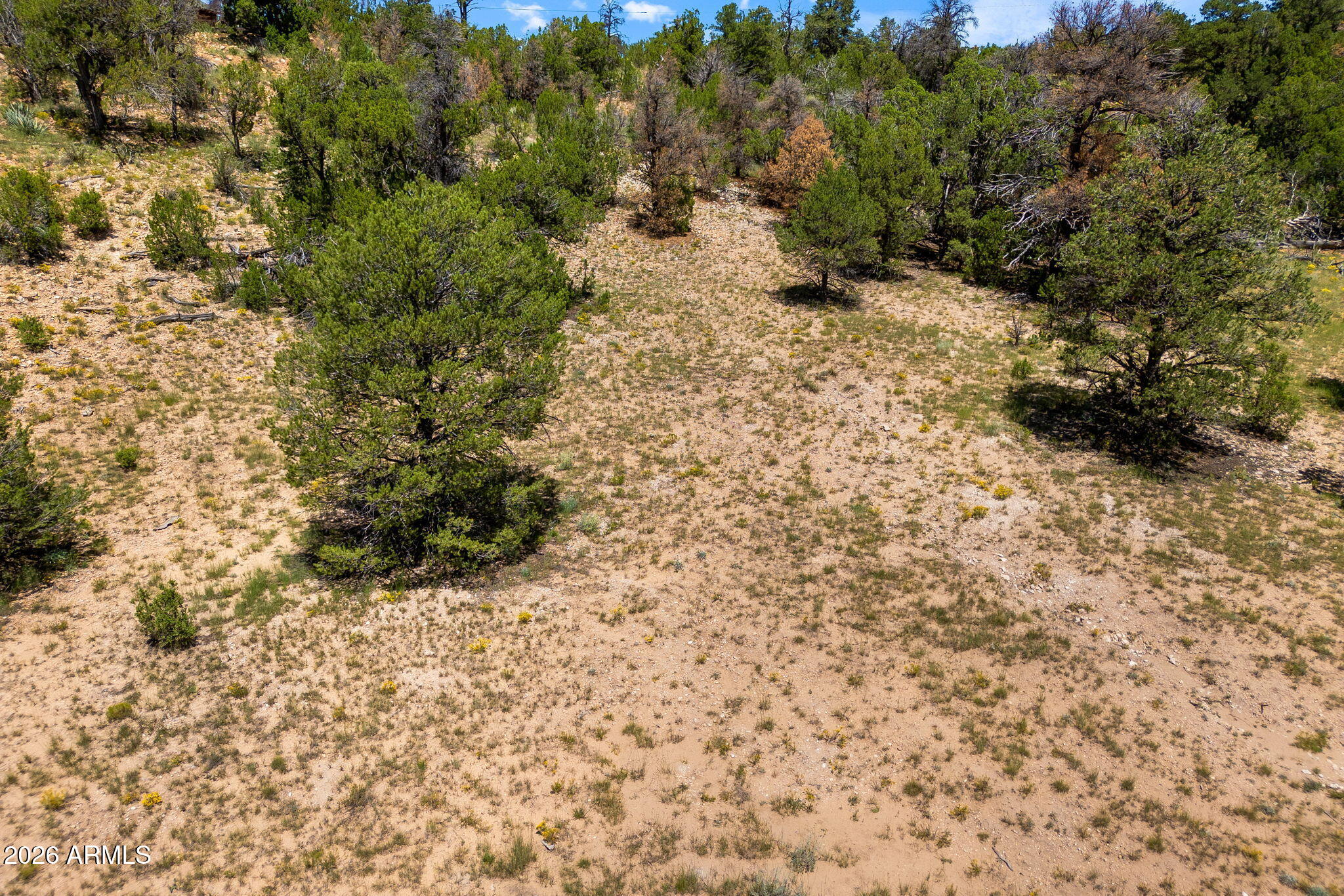 3620 ZANE GREY Trail 42