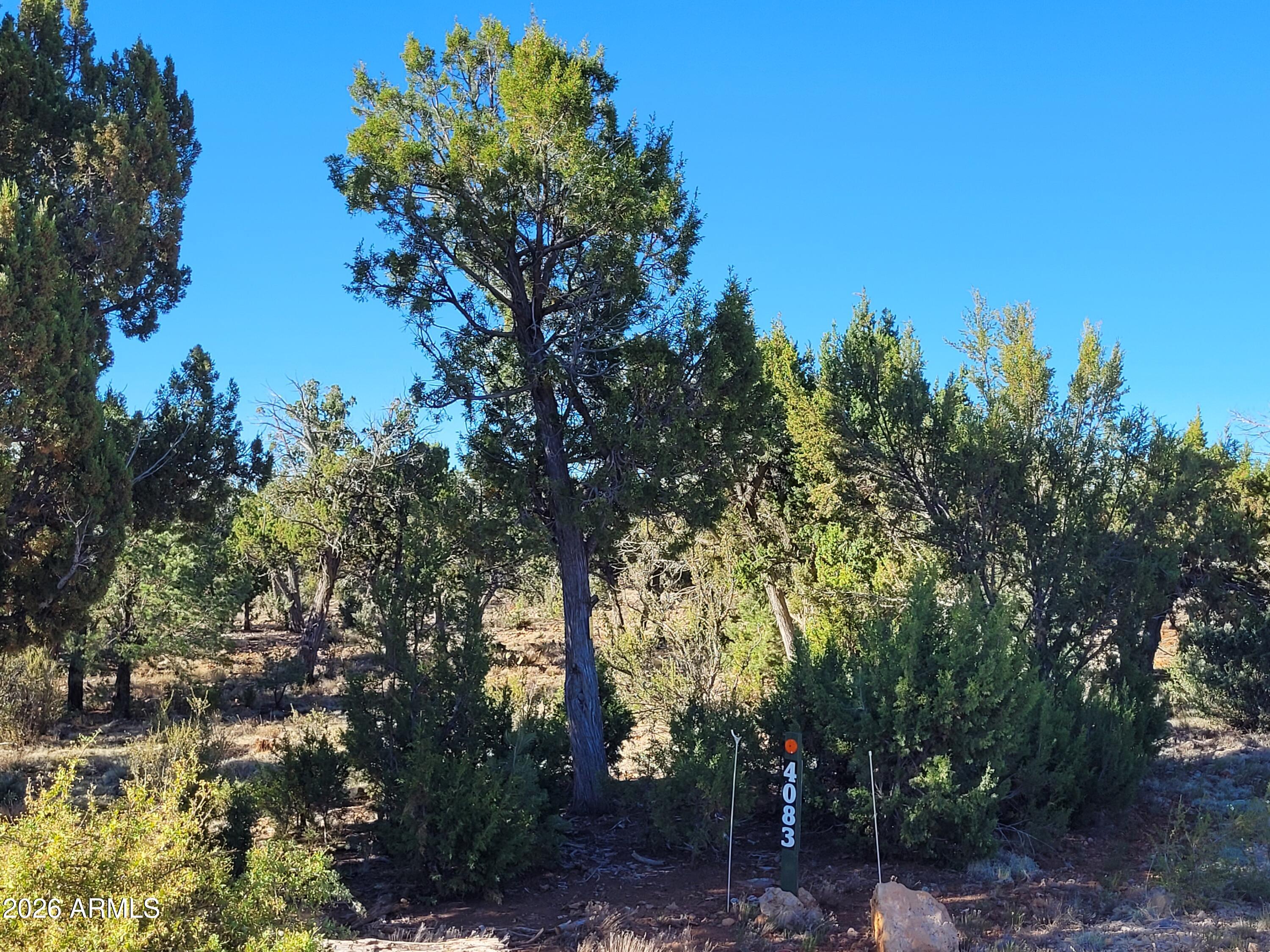 MOGOLLON RANCH 2 - Land