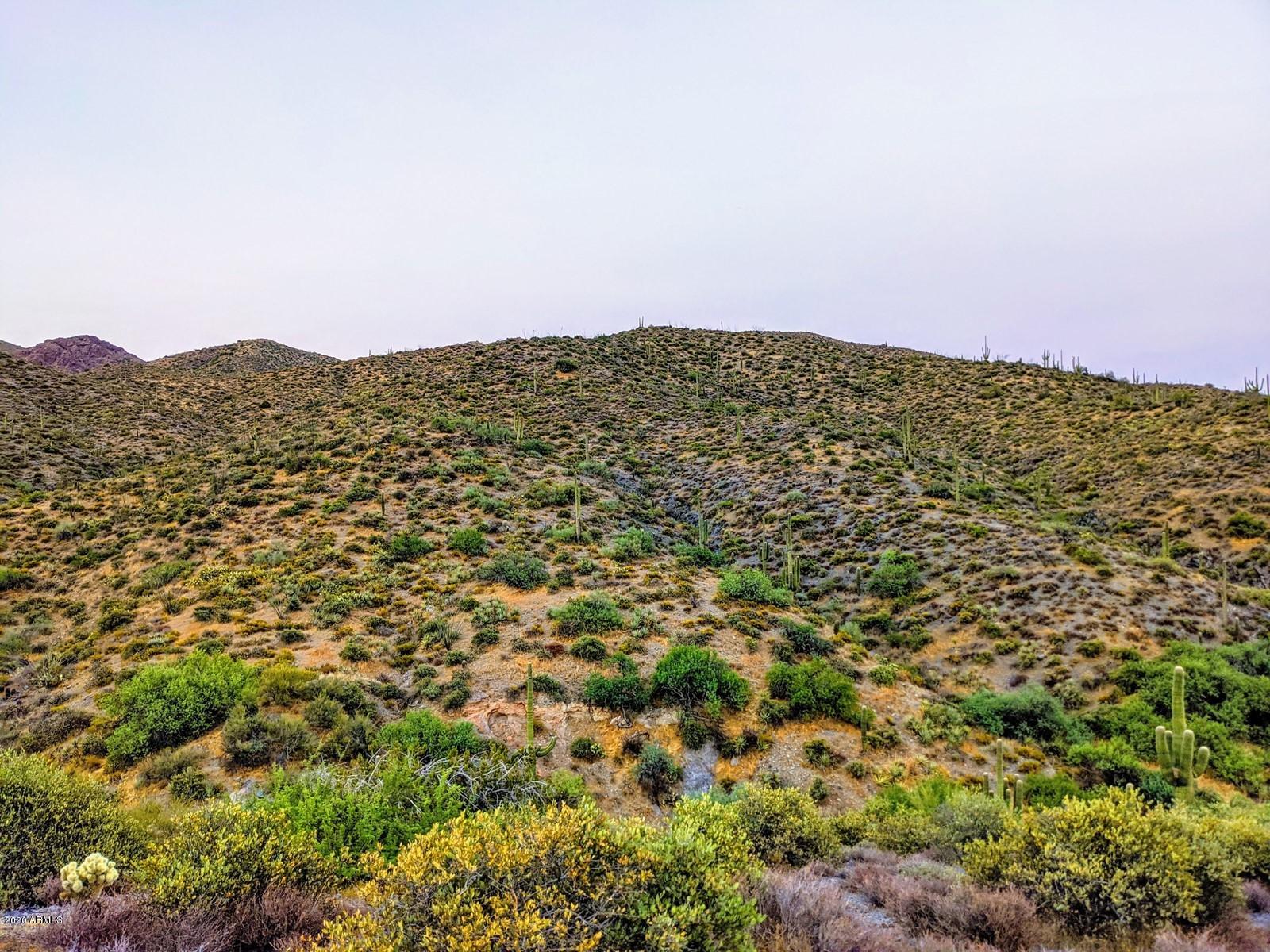 9554 E CATTLE HERD Drive -