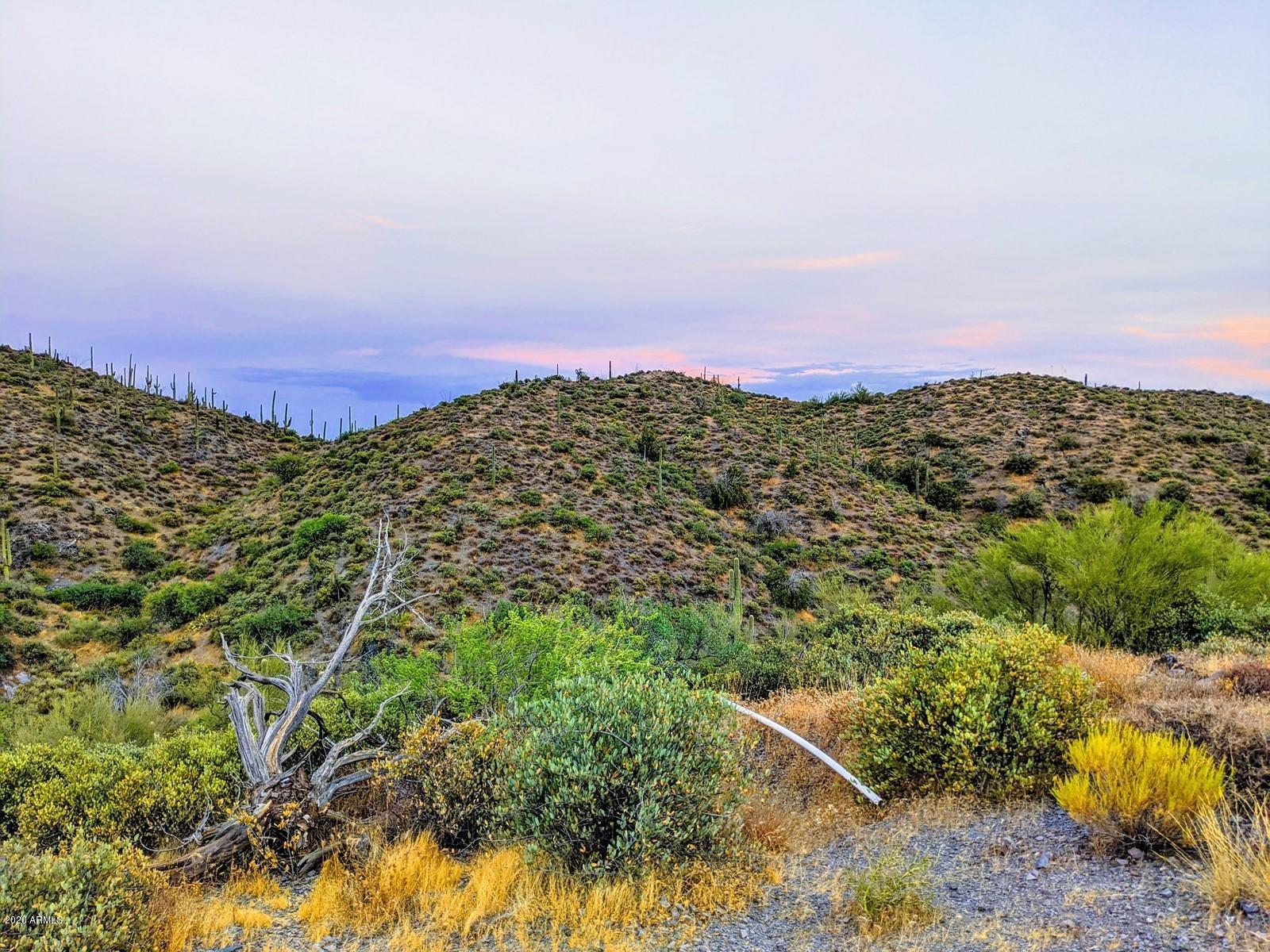 9554 E CATTLE HERD Drive -