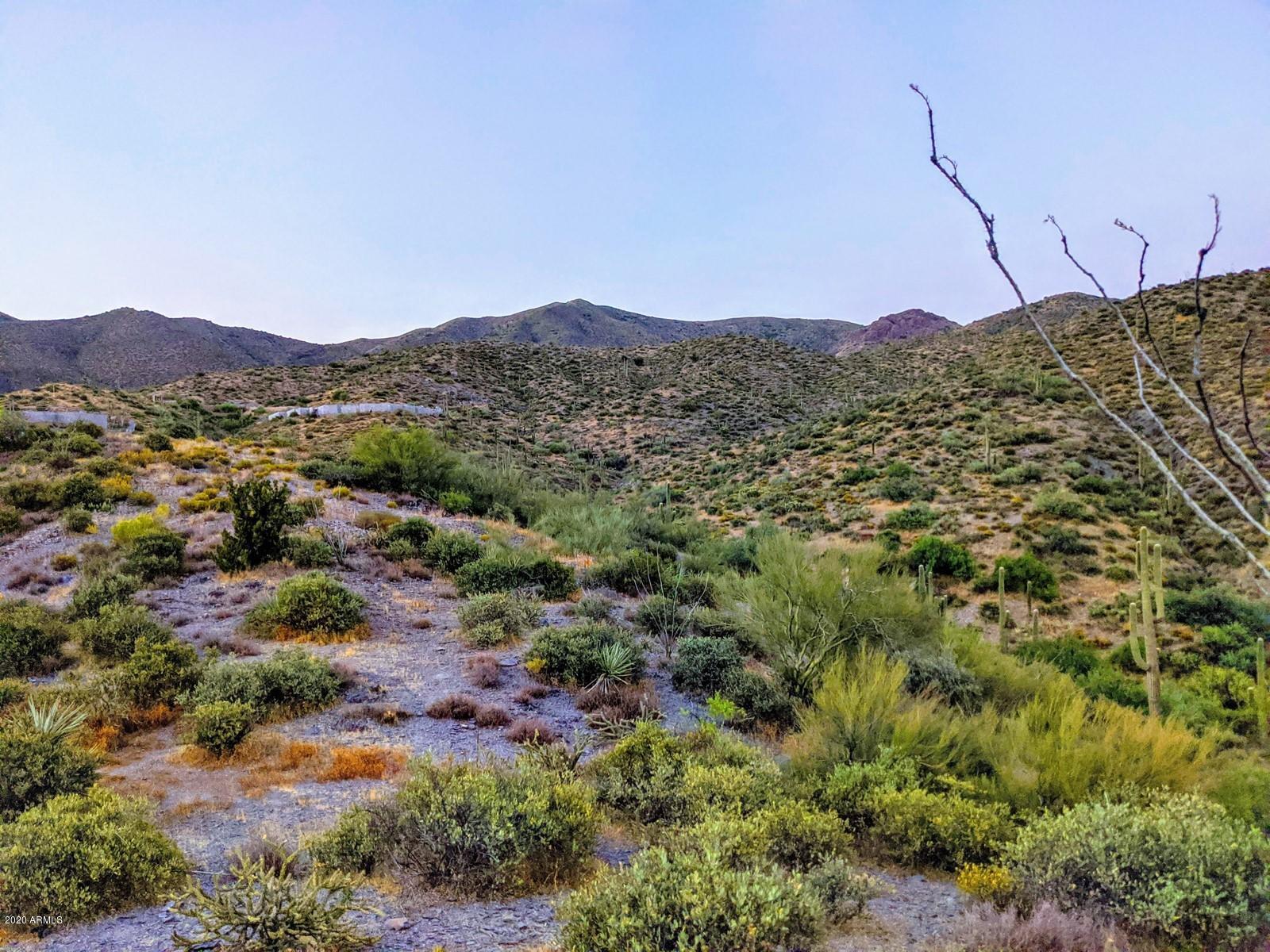 9554 E CATTLE HERD Drive -