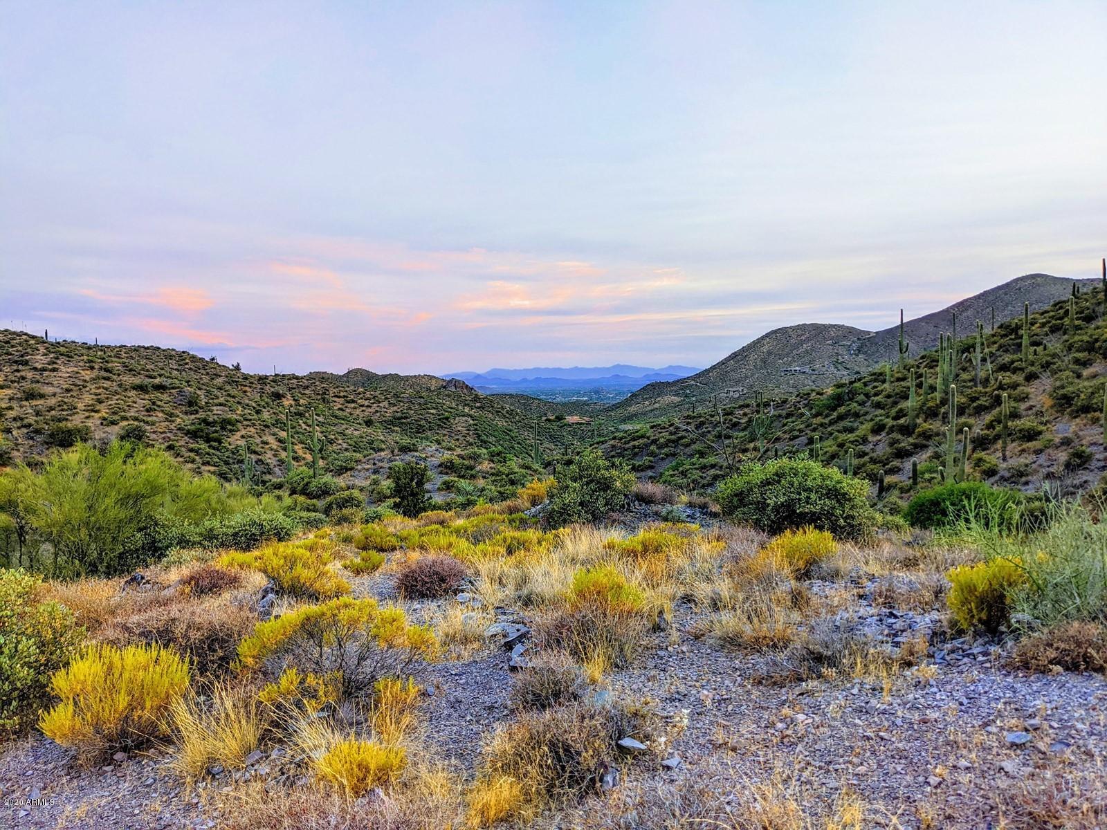 9554 E CATTLE HERD Drive -