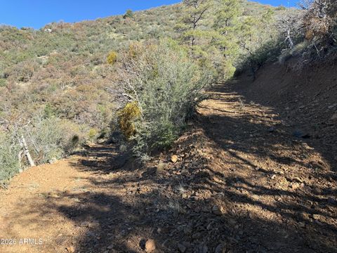 22560 S GLADIATOR MINE Road - Crown King AZ 86343