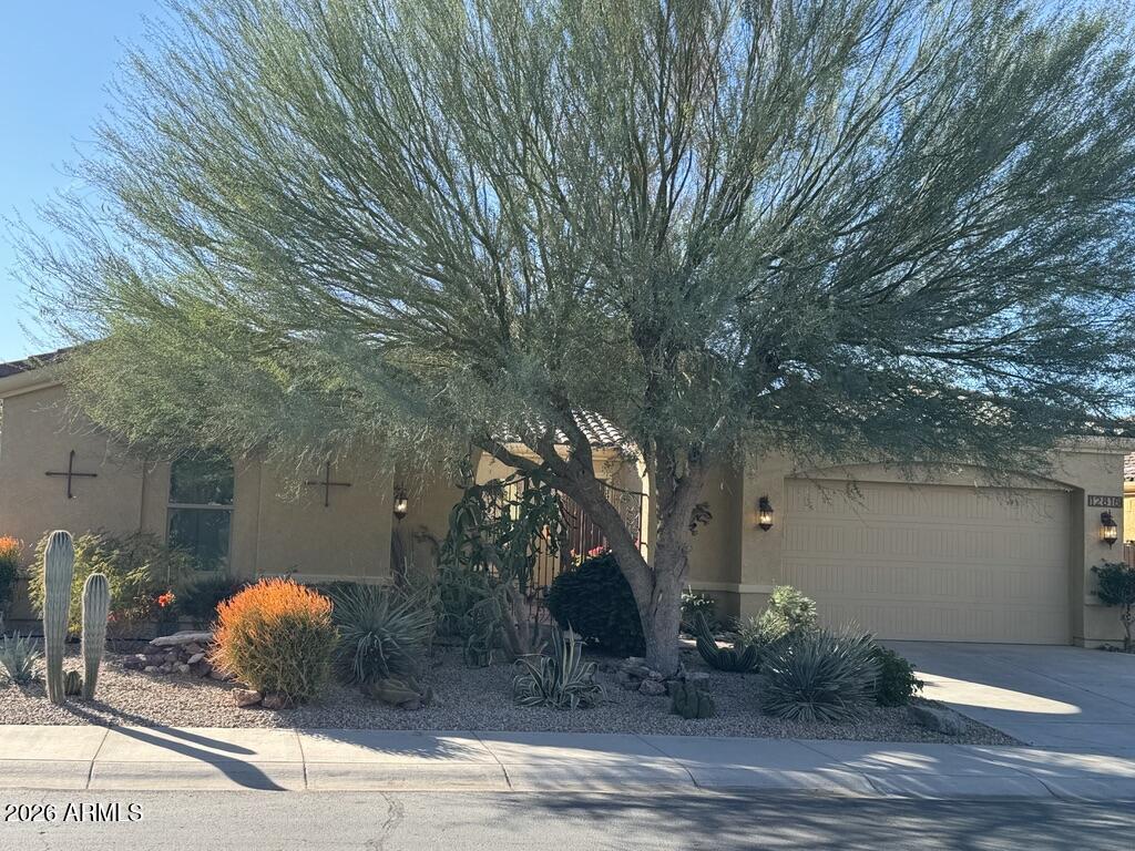 12816 S 183RD Avenue