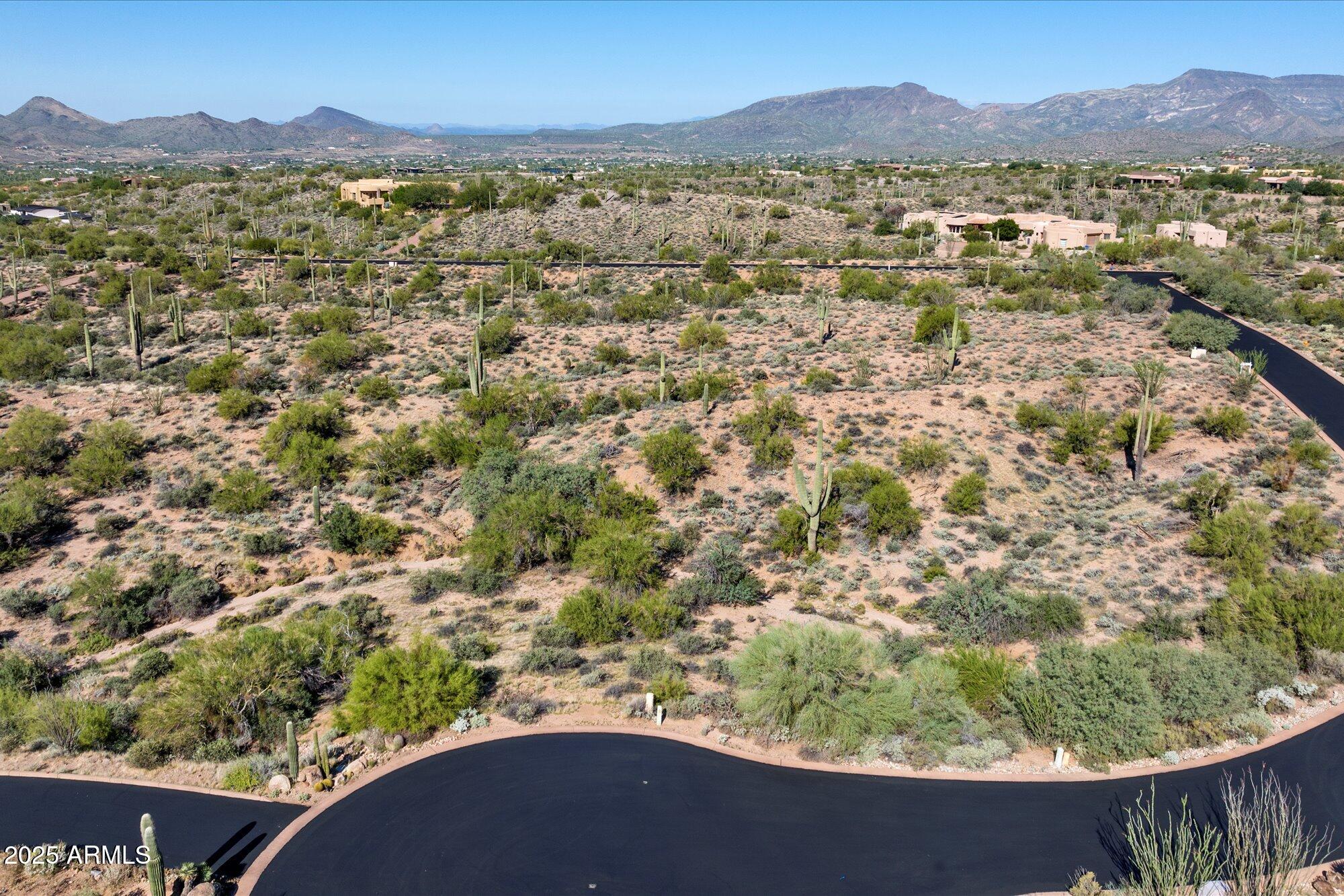 39005 N CRESTED QUAIL Run 18