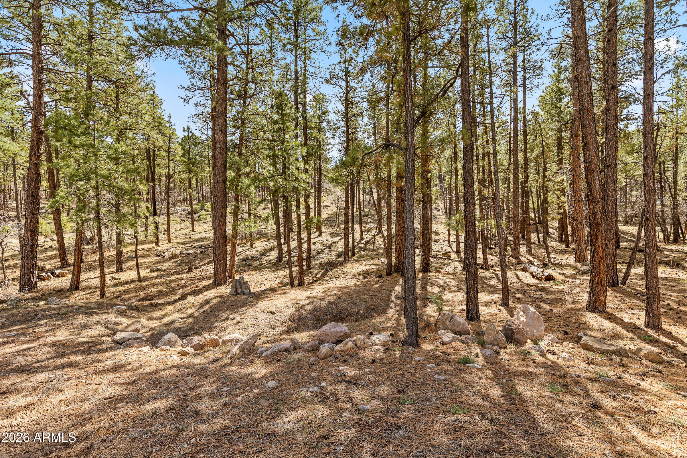 ESCALANTE AT WILLIAMS MOUNTAIN PHASE 1 - Residential