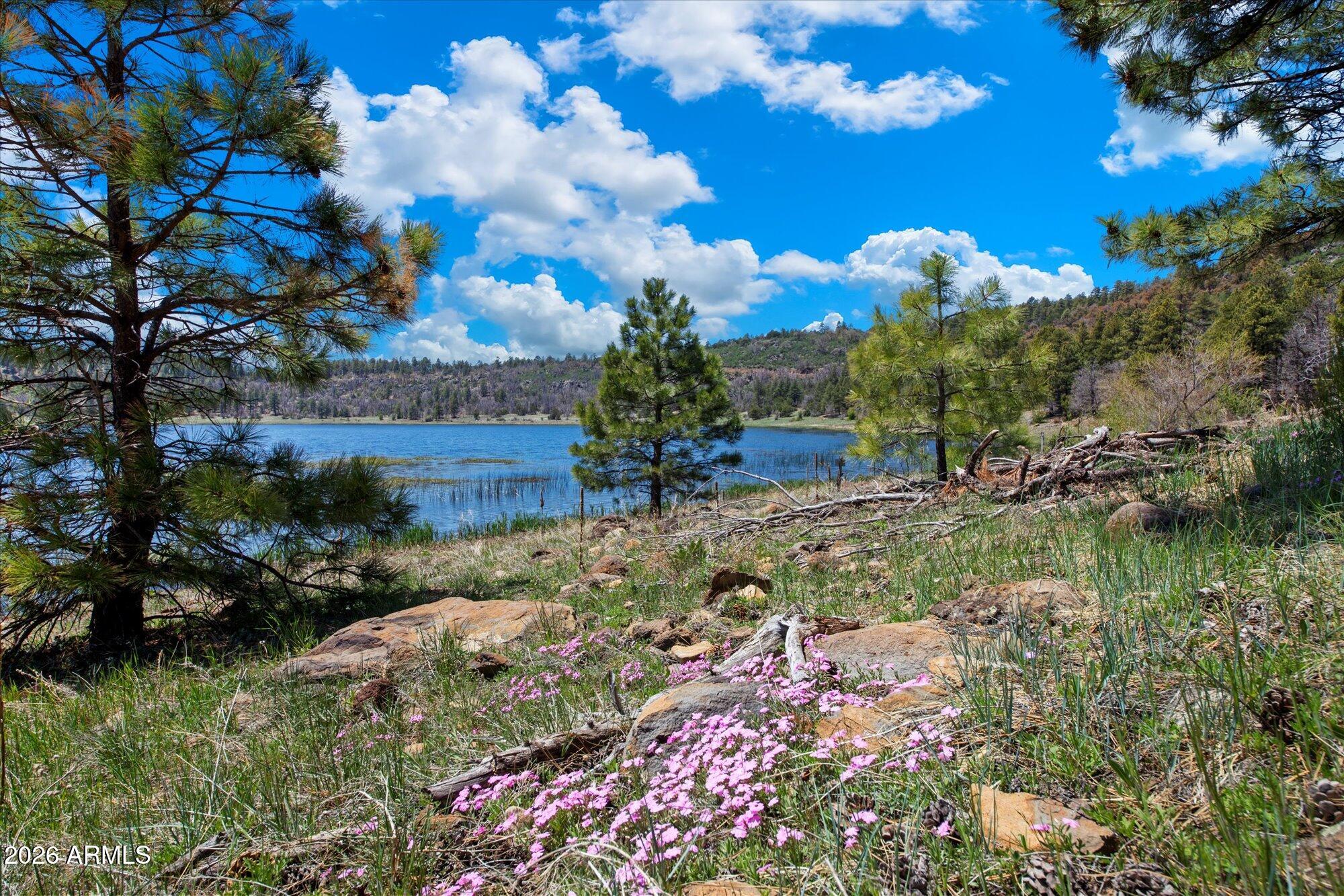 18 Ponderosa Drive -