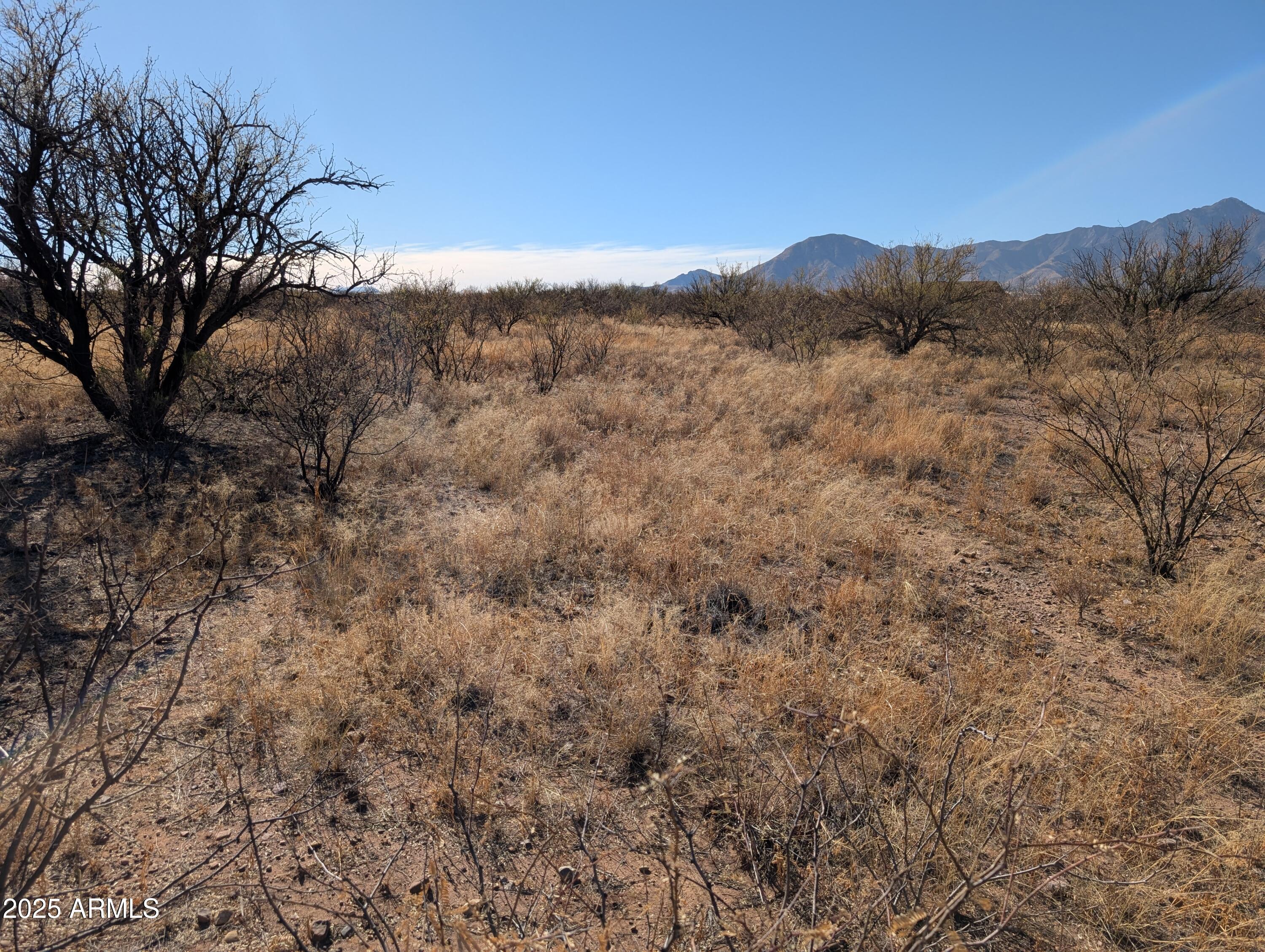 3 Canyons Ranch - Land