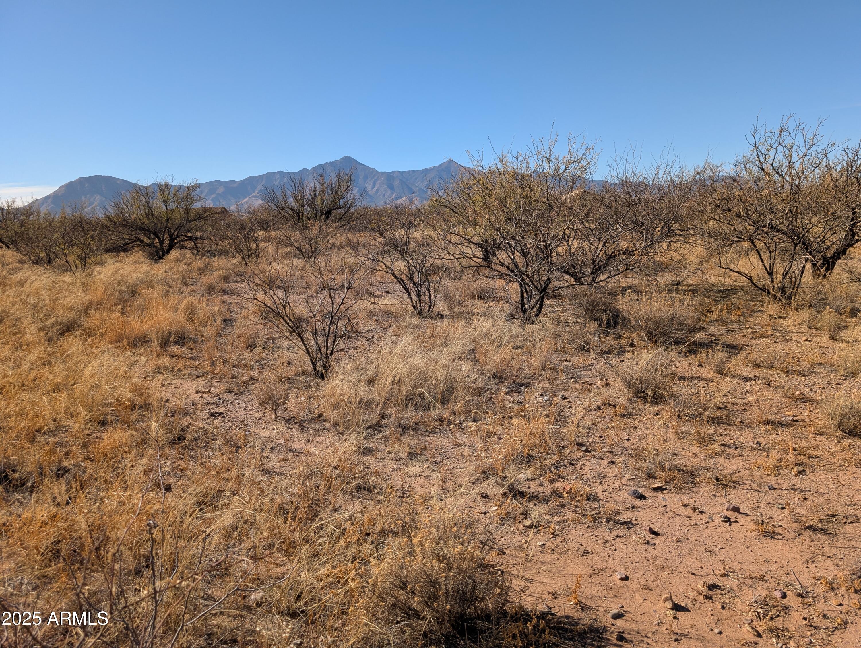 3 Canyons Ranch - Land